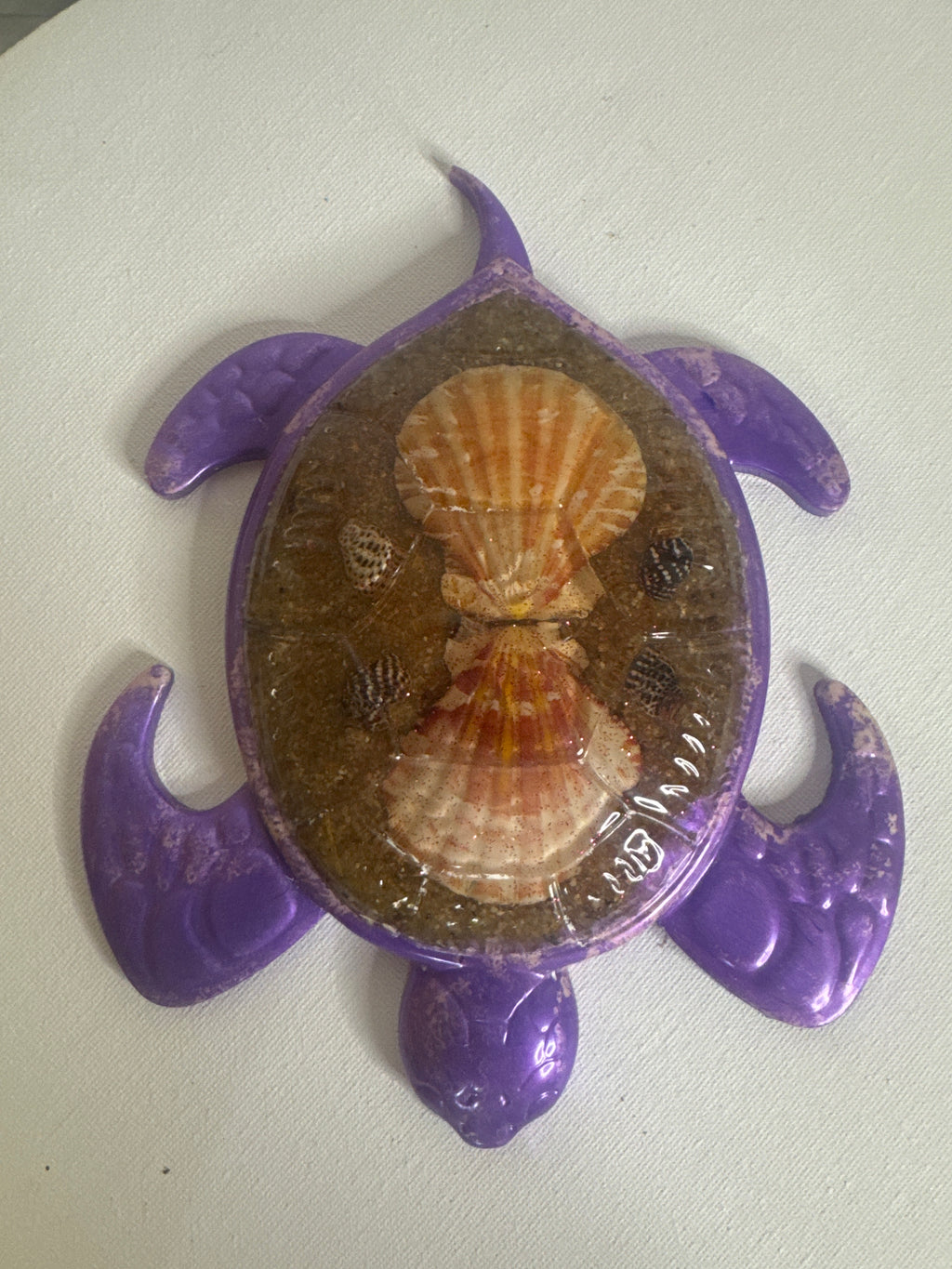 Violet Tide - Turtle