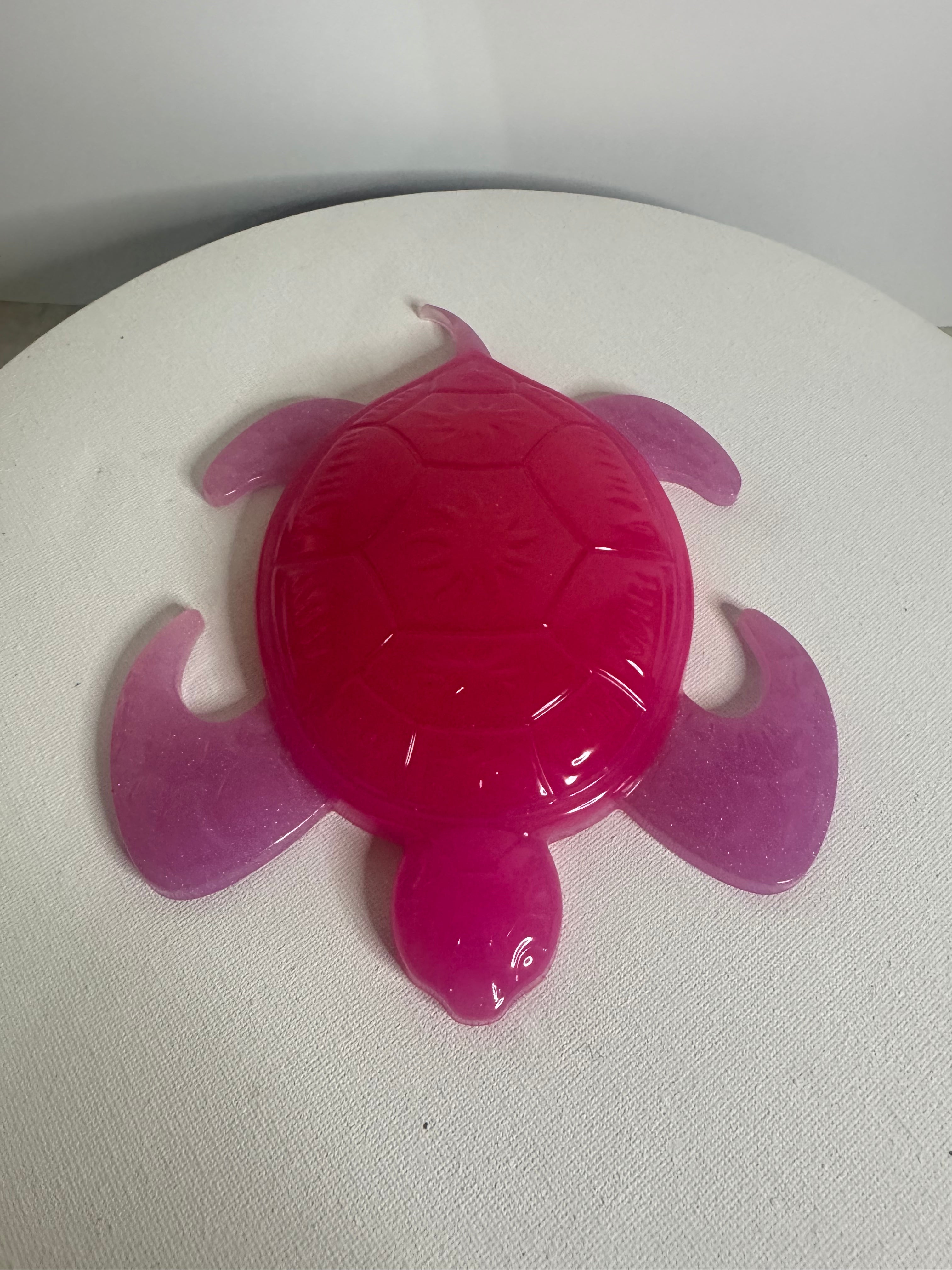 Raspberry Tide - Turtle