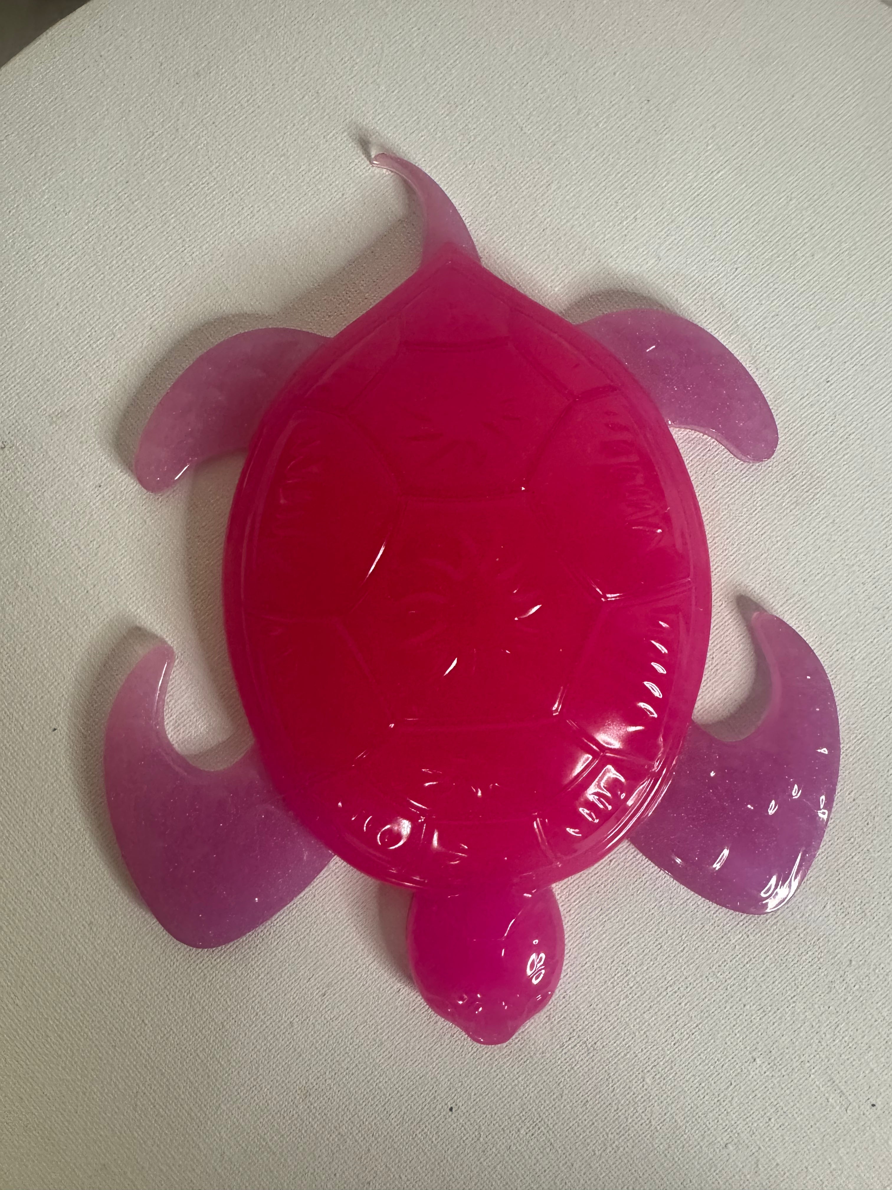 Raspberry Tide - Turtle