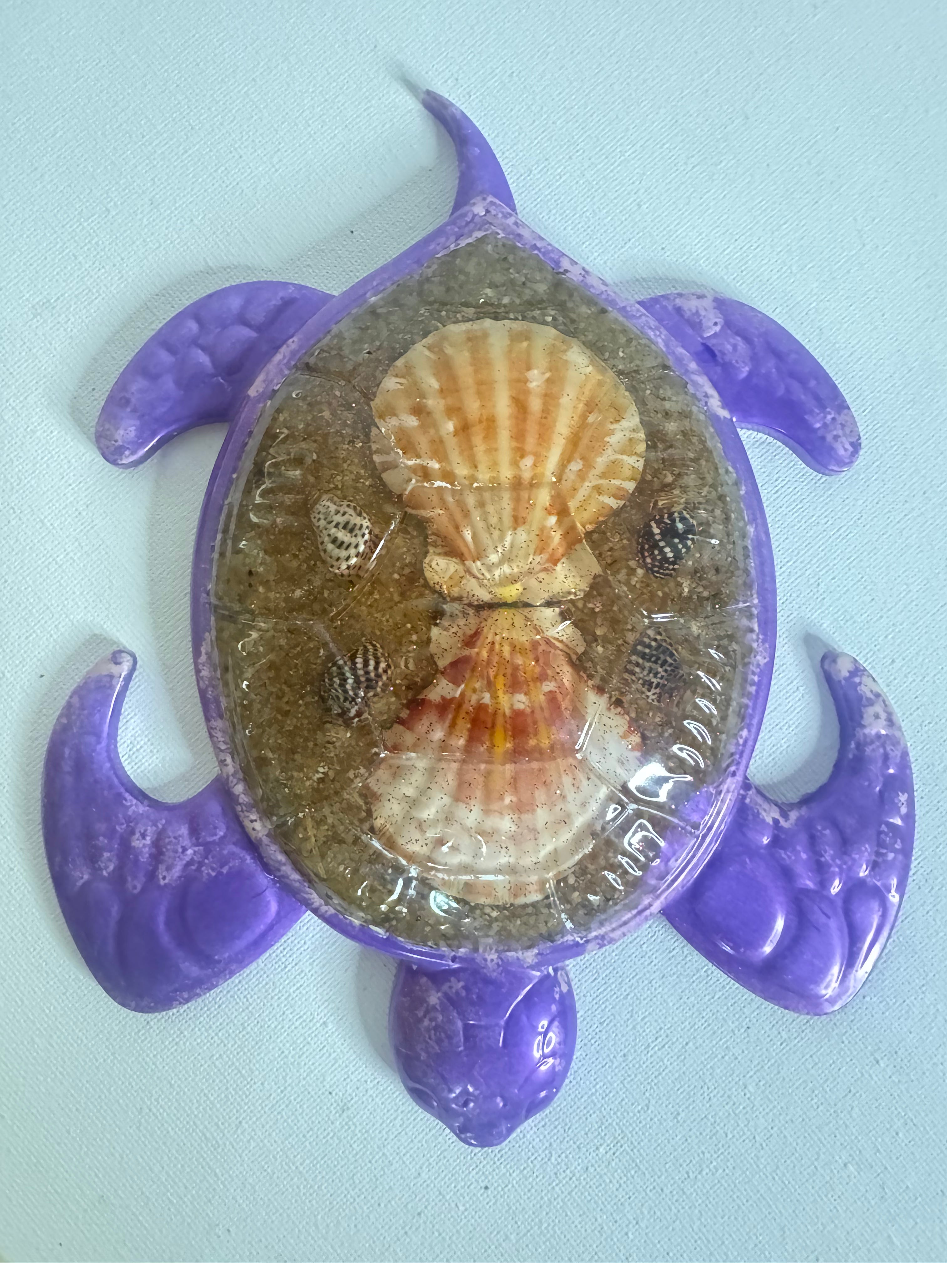 Violet Tide - Turtle