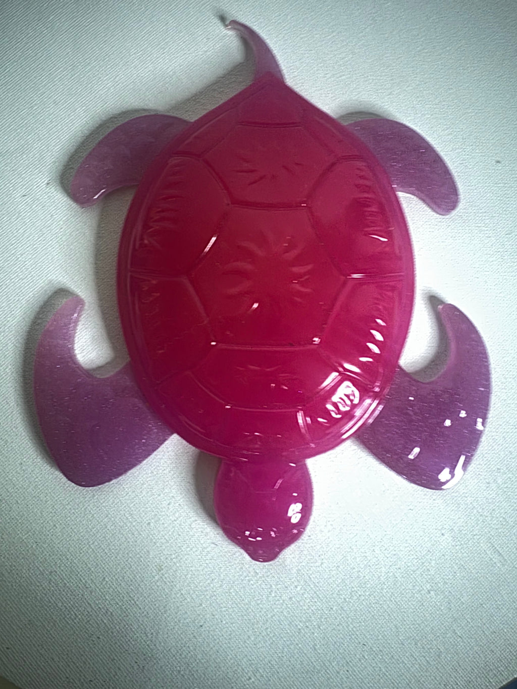 Raspberry Tide - Turtle