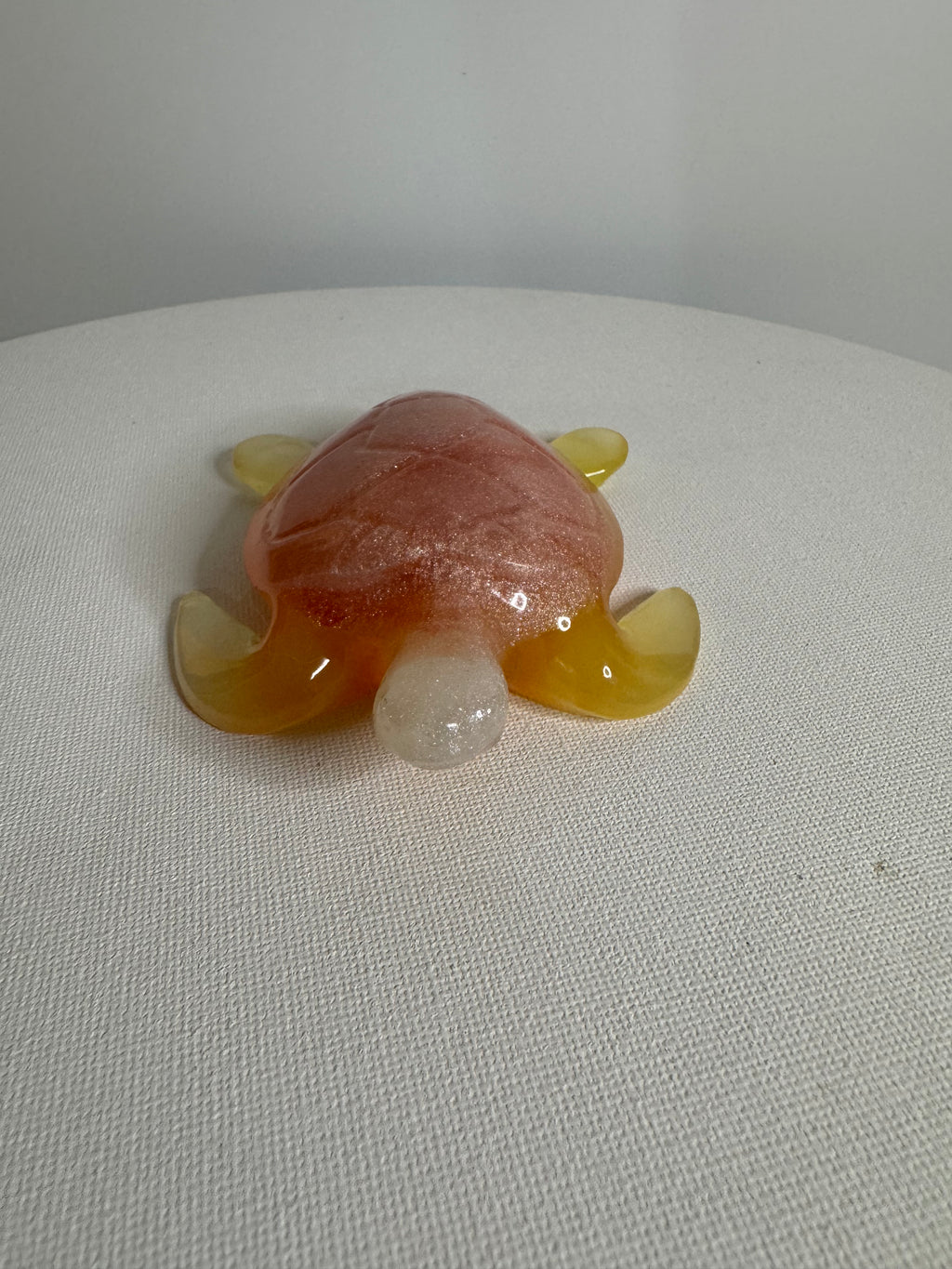 Peachy Sunset - Turtle