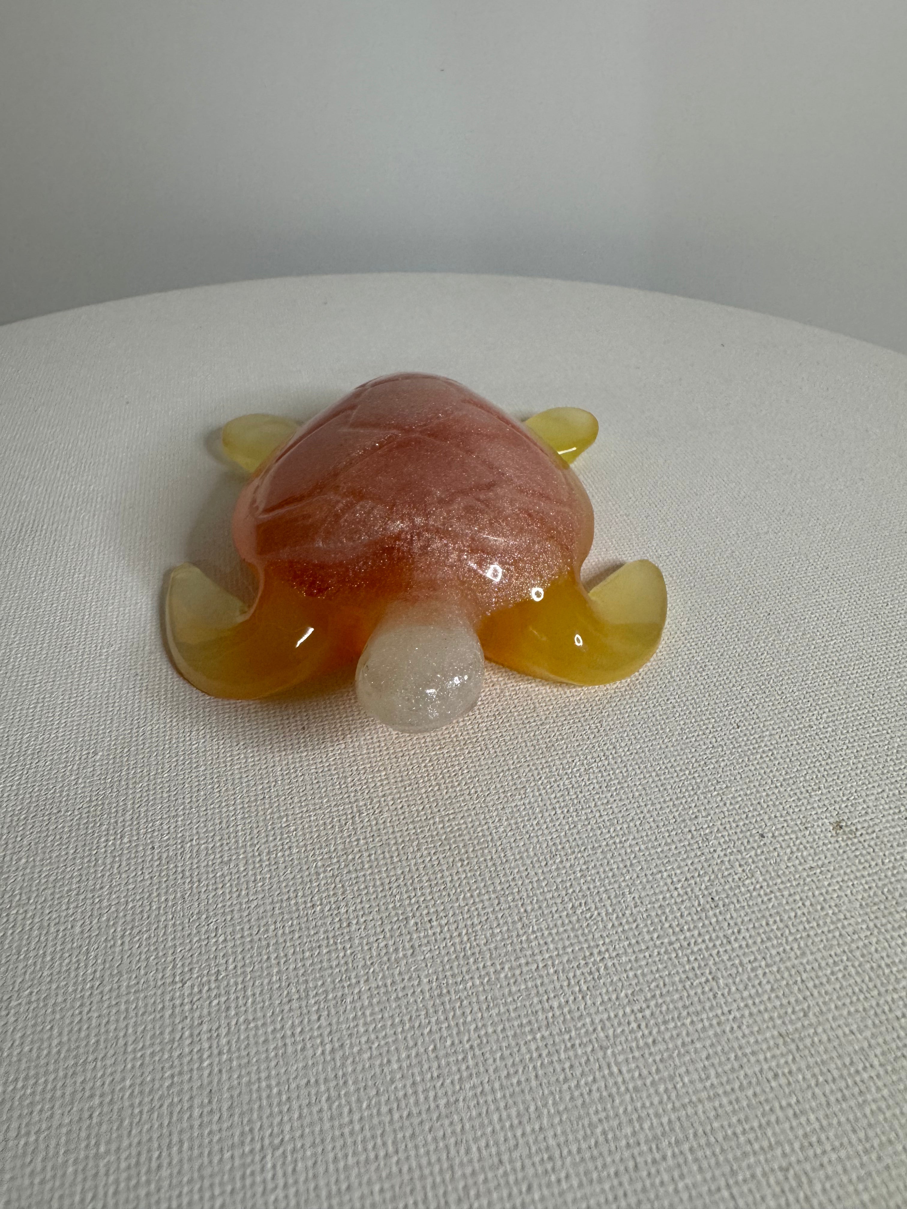 Peachy Sunset - Turtle