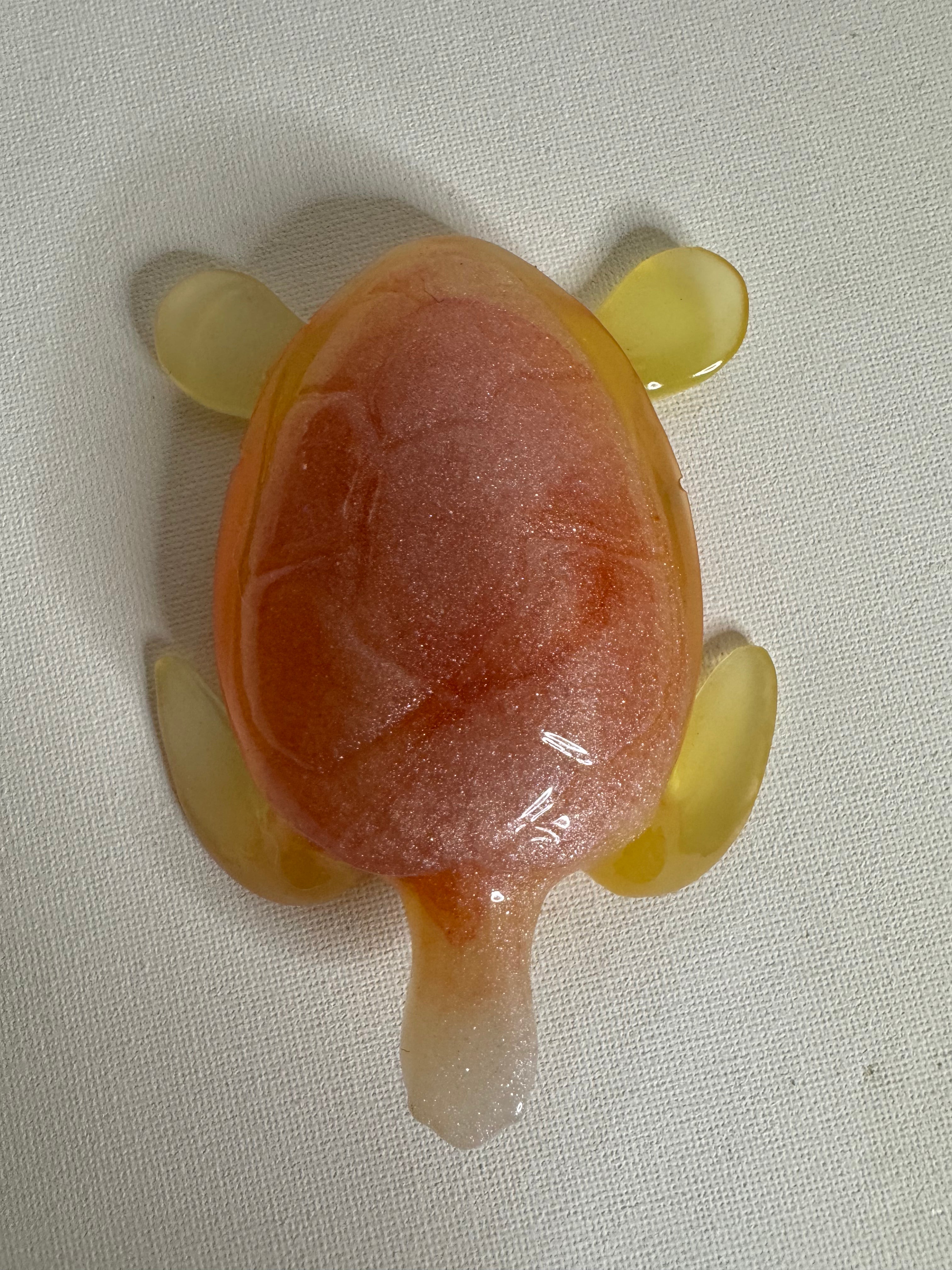 Peachy Sunset - Turtle