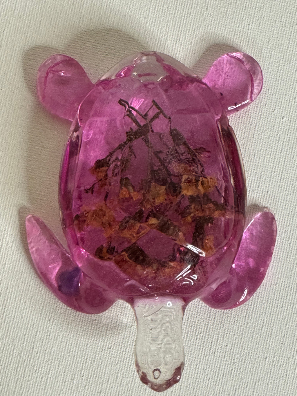 Blossom Reef - Turtle