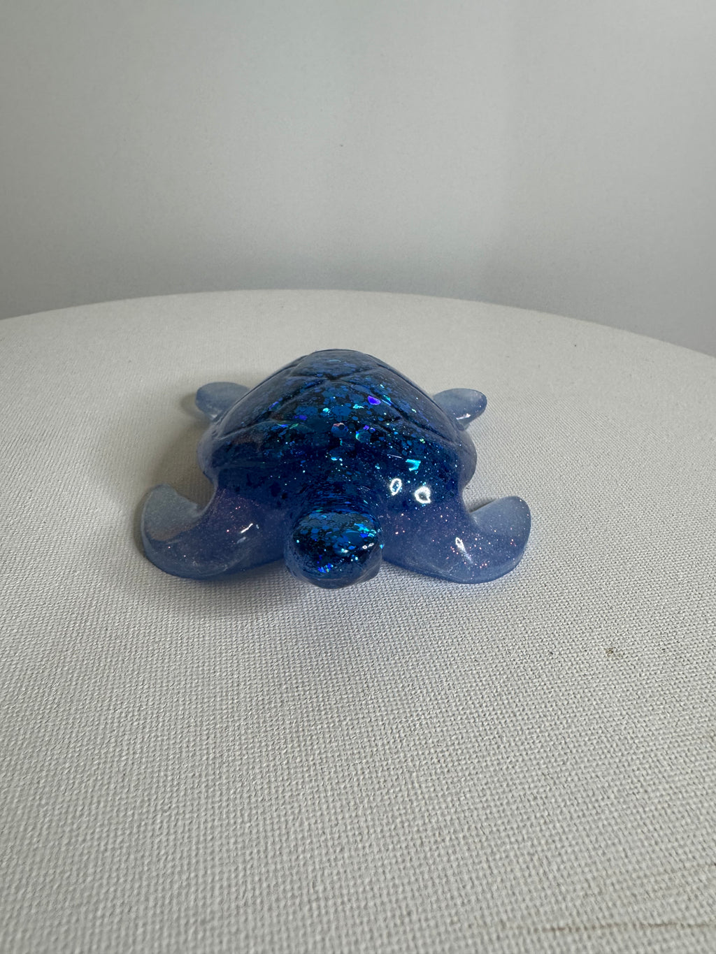 Midnight Tide - Turtle