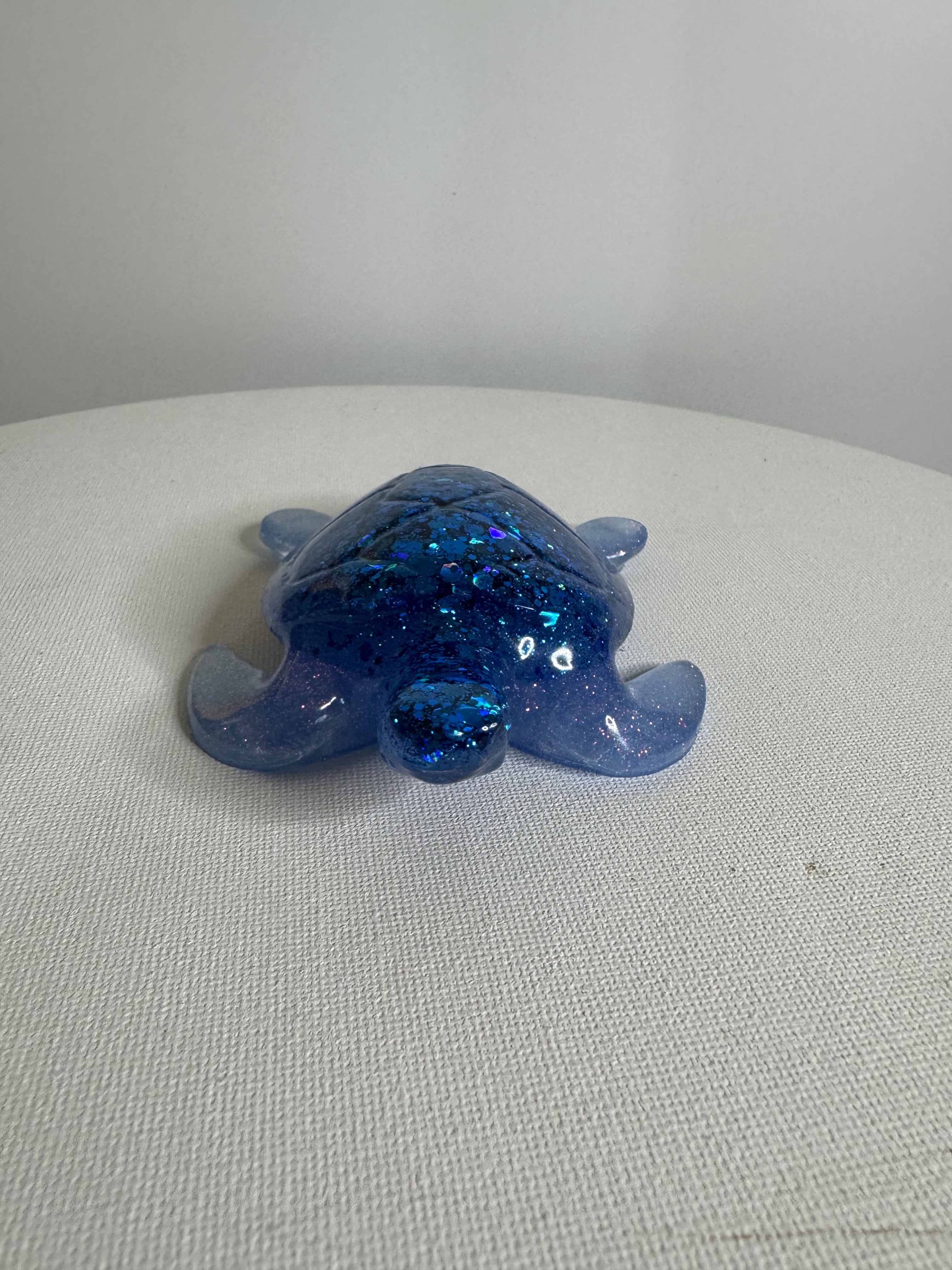 Midnight Tide - Turtle