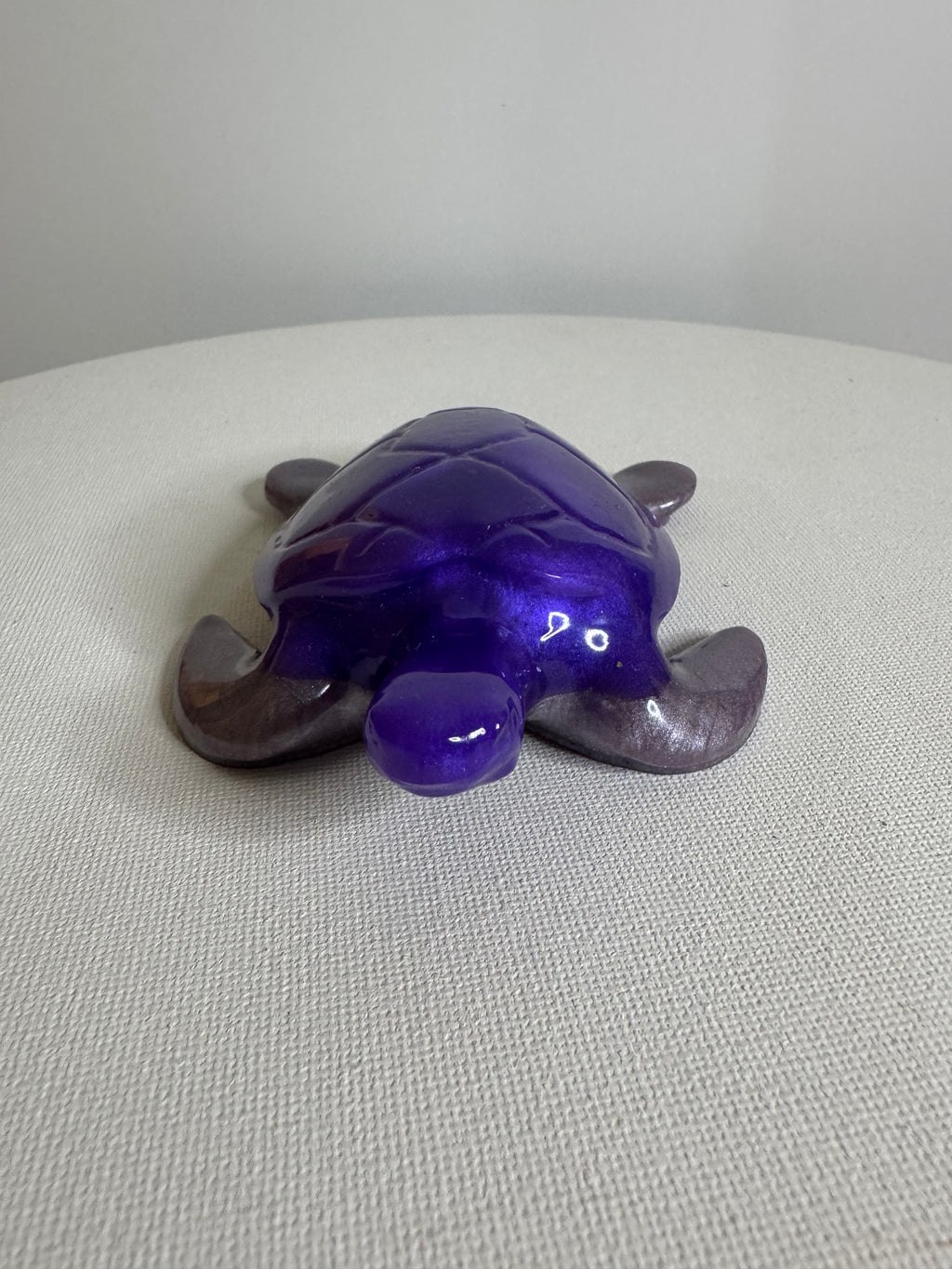 Midnight Amethyst - Turtle