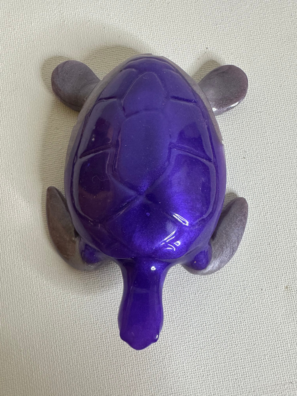 Midnight Amethyst - Turtle