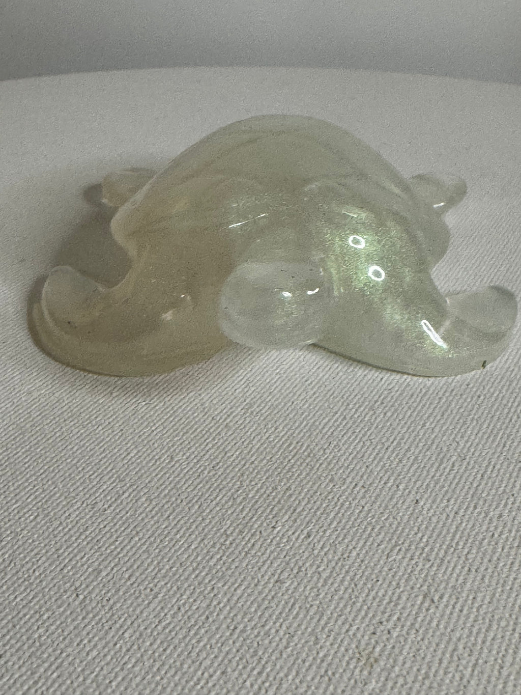 Moonlit Mist - Turtle