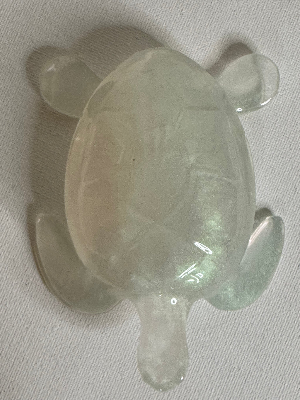 Moonlit Mist - Turtle