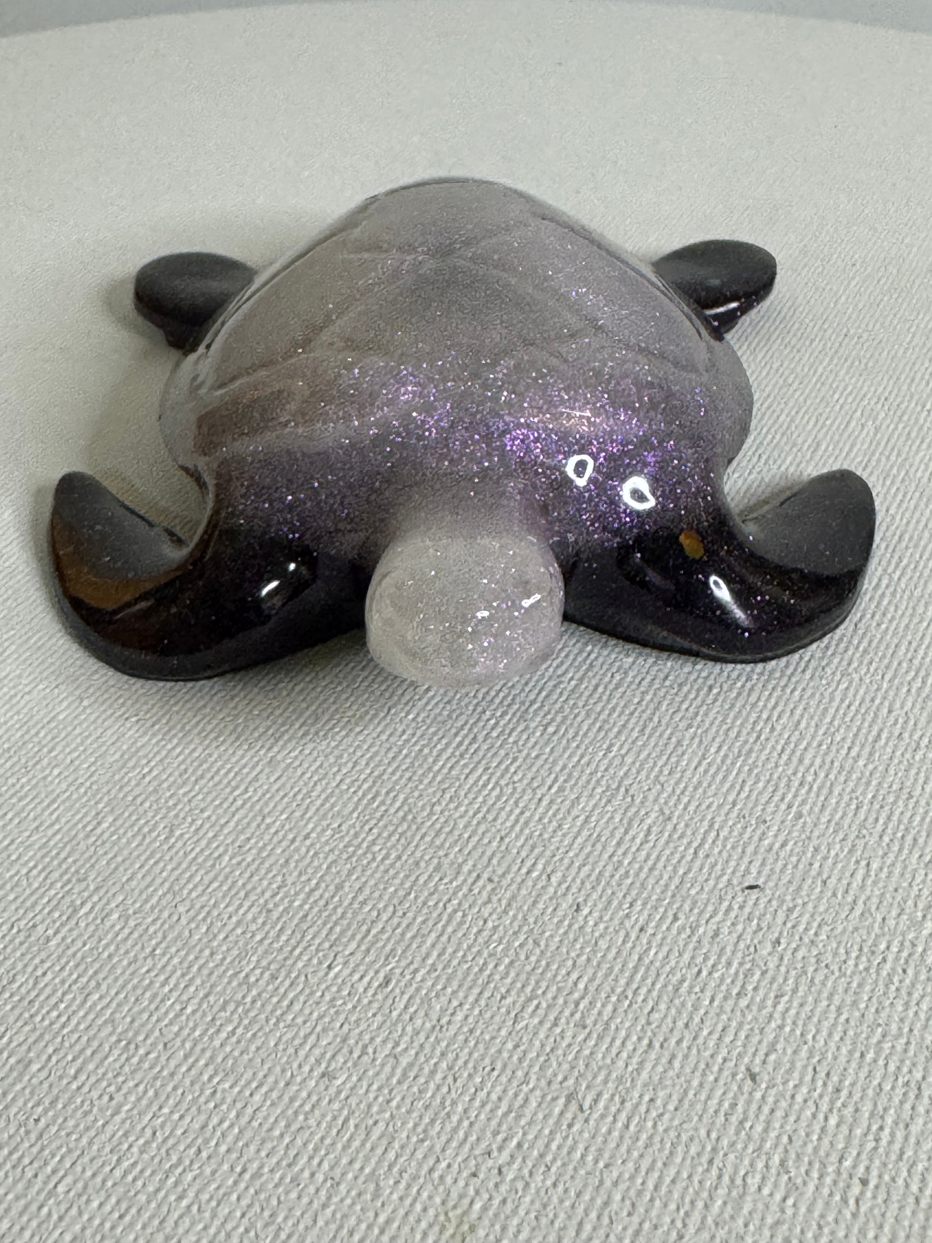 Violet Shadow - Turtle