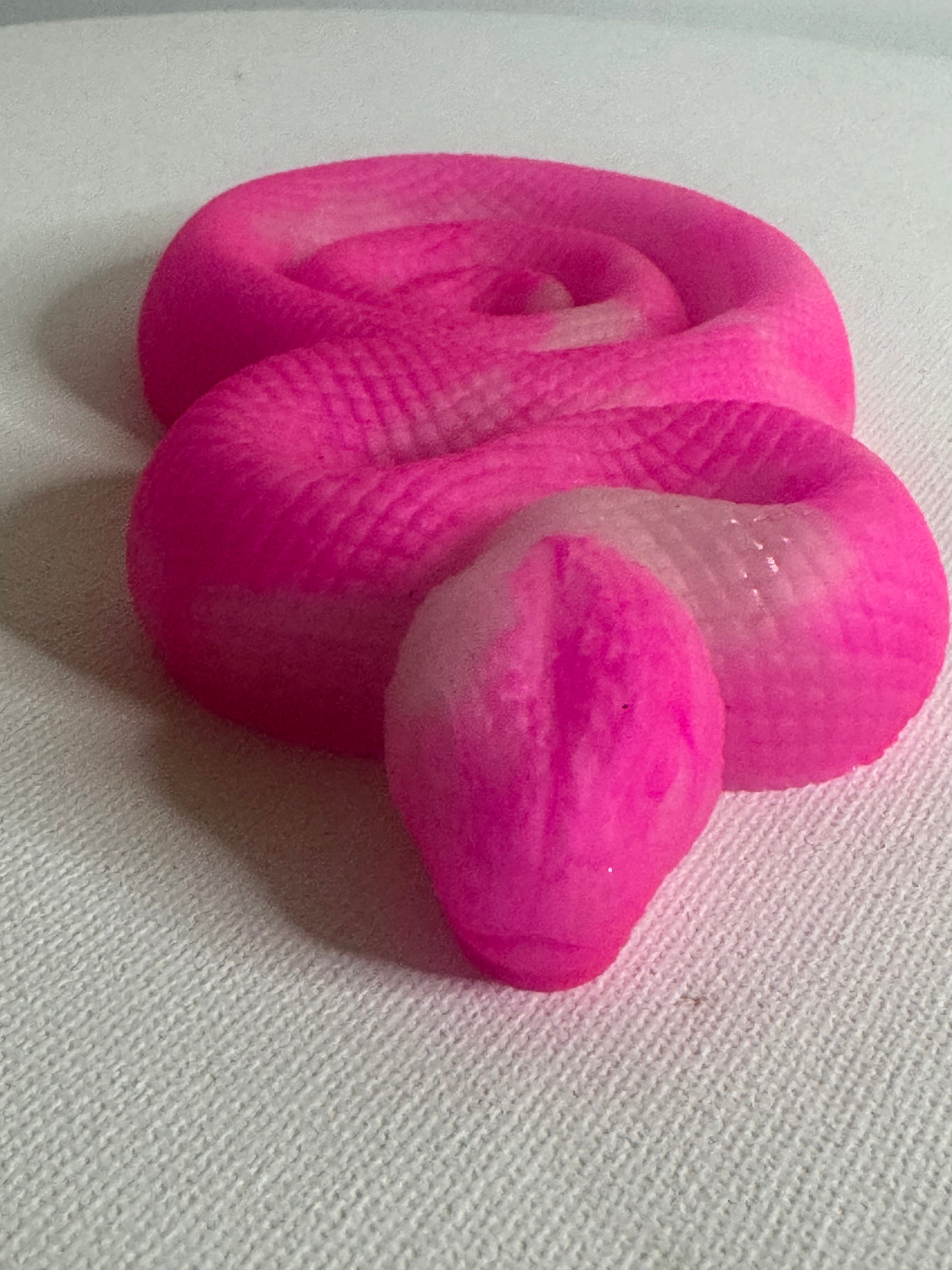 The Pink Enchantress - Snake