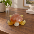 Peachy Sunset - Turtle displayed in a home setting — lifestyle mockup
