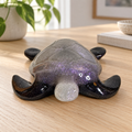 Violet Shadow - Turtle displayed in a home setting — lifestyle mockup