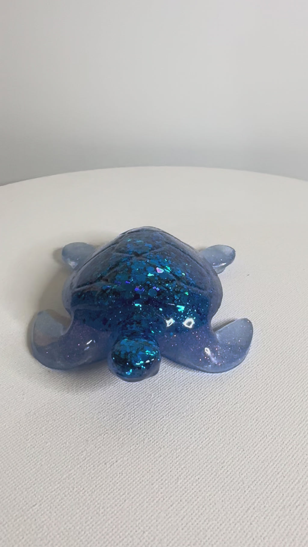 Midnight Tide - Turtle