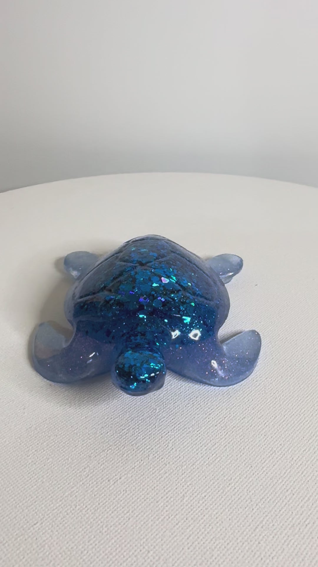 Midnight Tide - Turtle