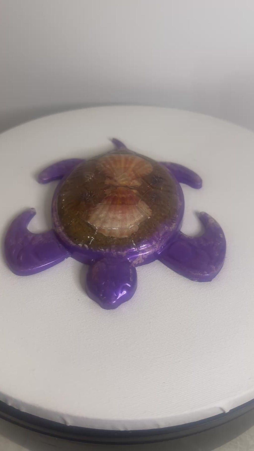 Violet Tide - Turtle