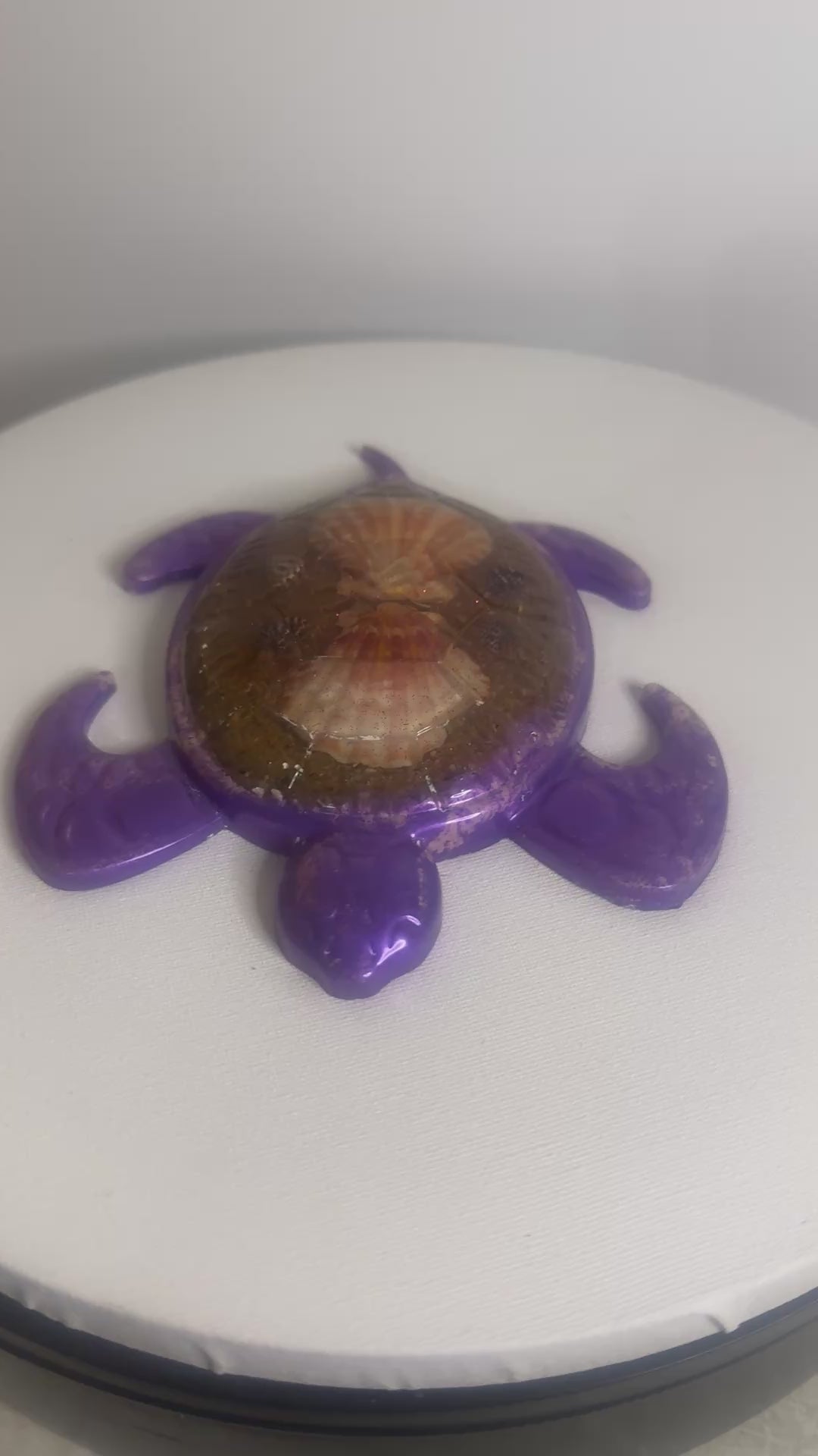 Violet Tide - Turtle