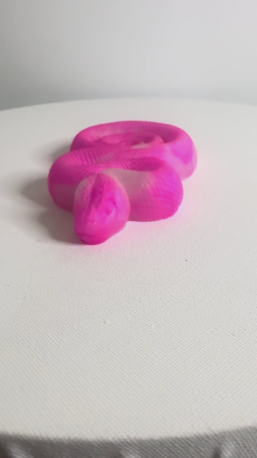 The Pink Enchantress - Snake