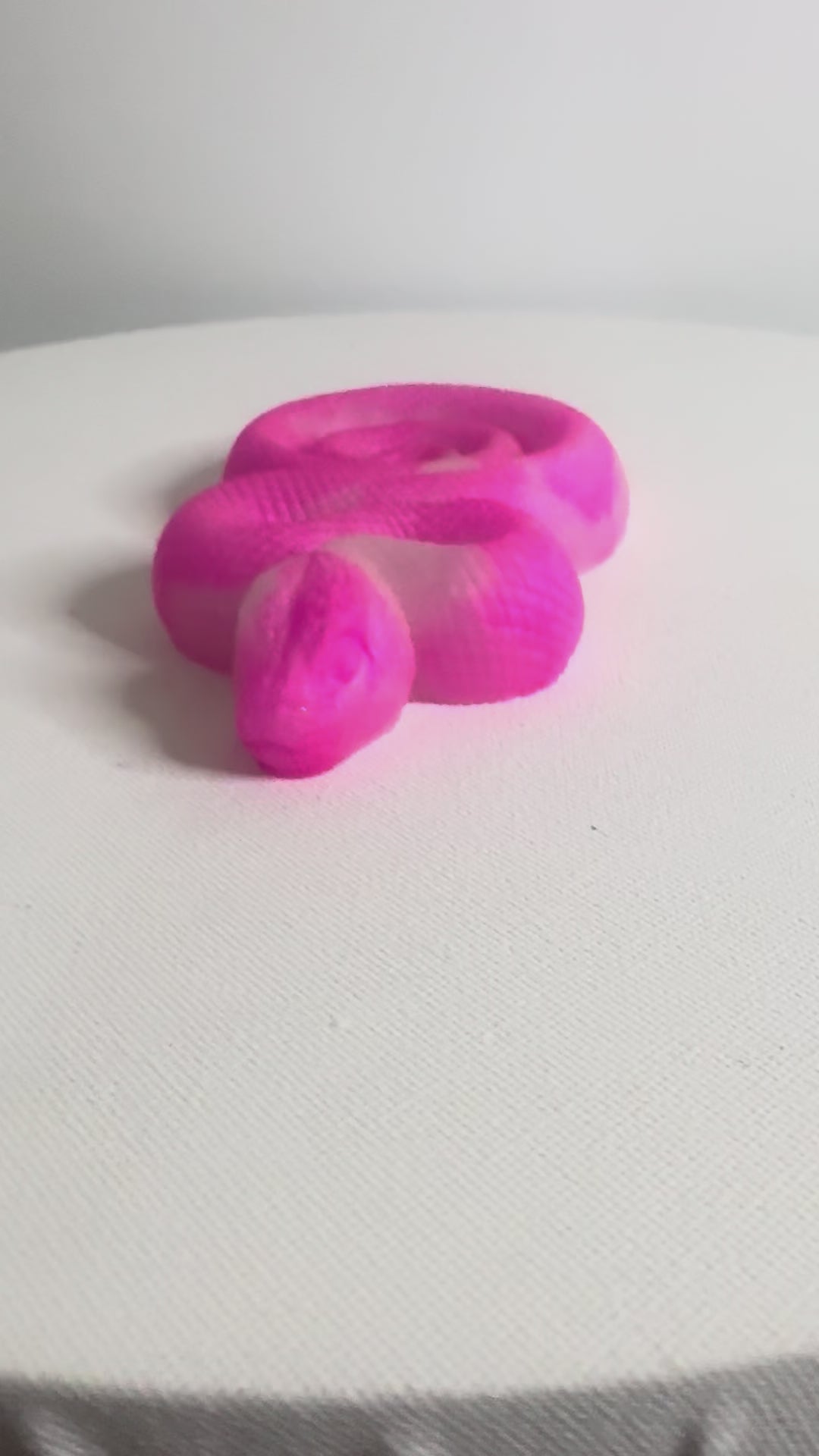 The Pink Enchantress - Snake