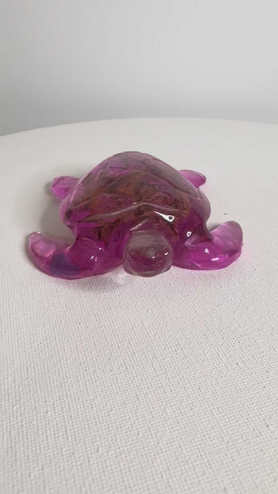 Blossom Reef - Turtle