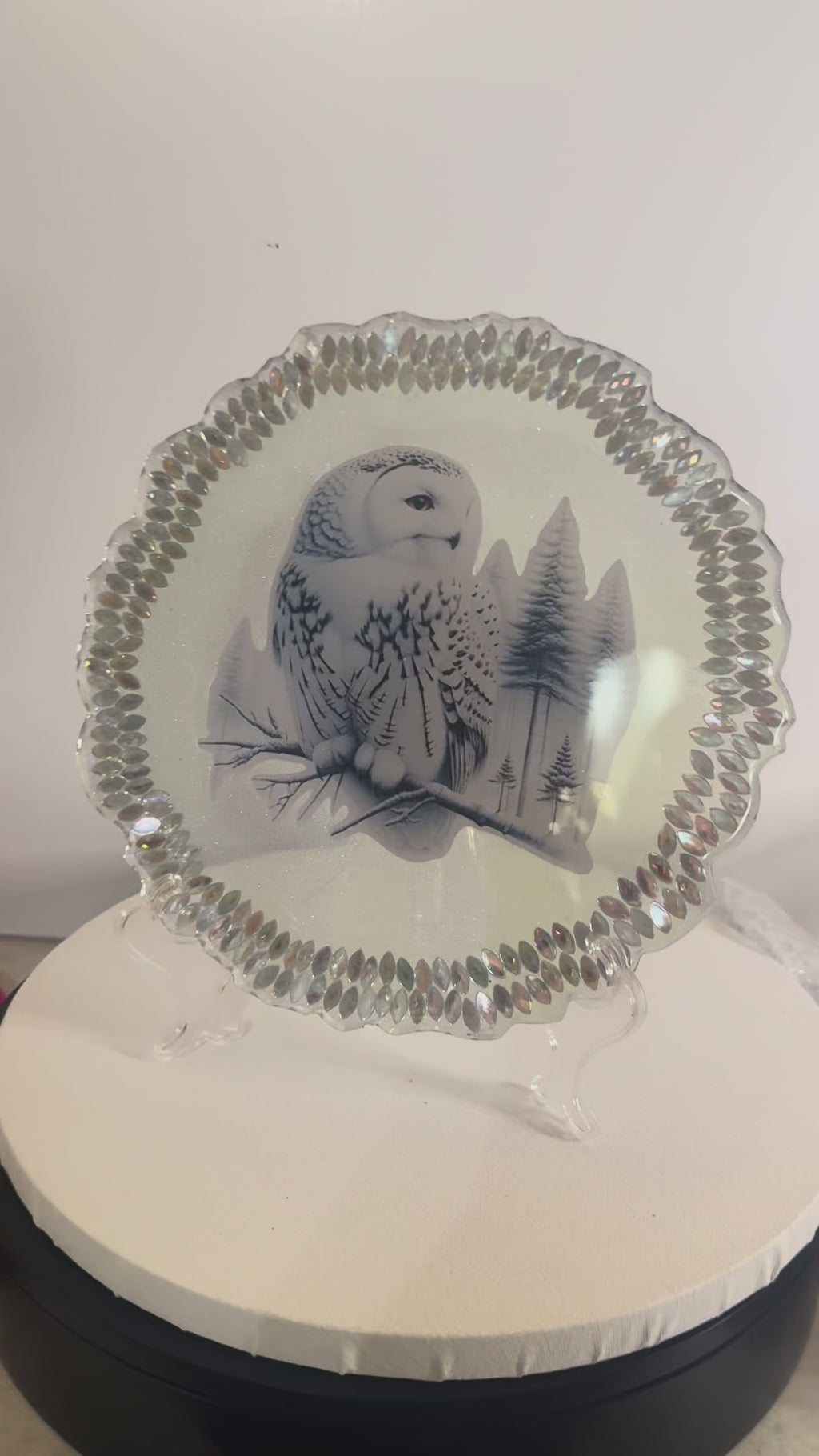Winter’s Watch - Decorative Plate