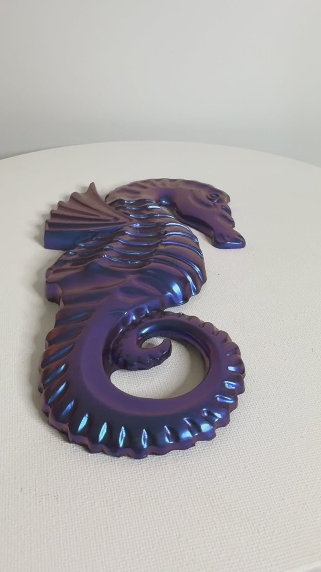 Ocean Eclipse - Seahorse