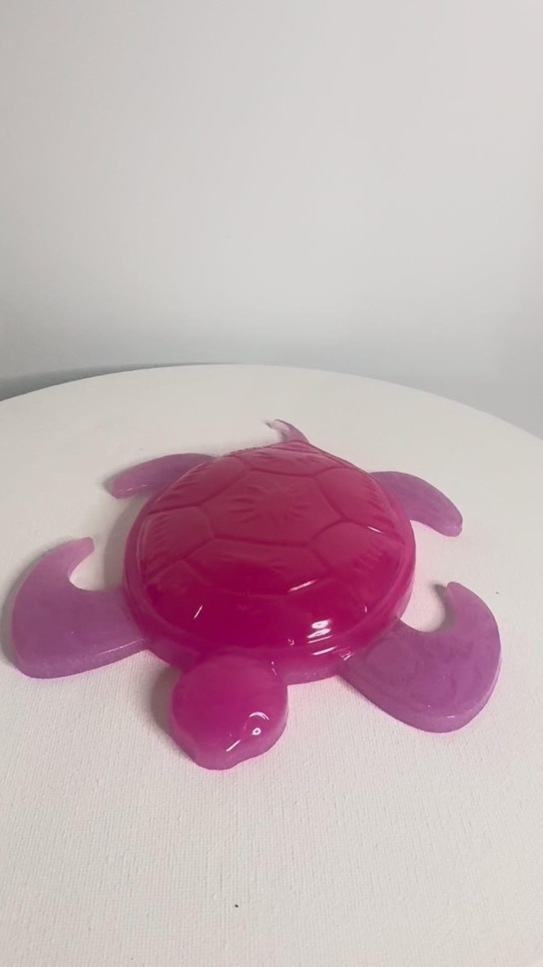 Raspberry Tide - Turtle
