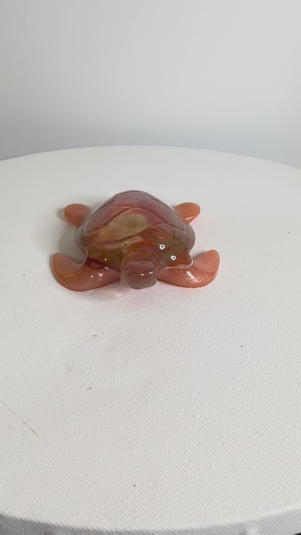 Sunset Ember - Turtle