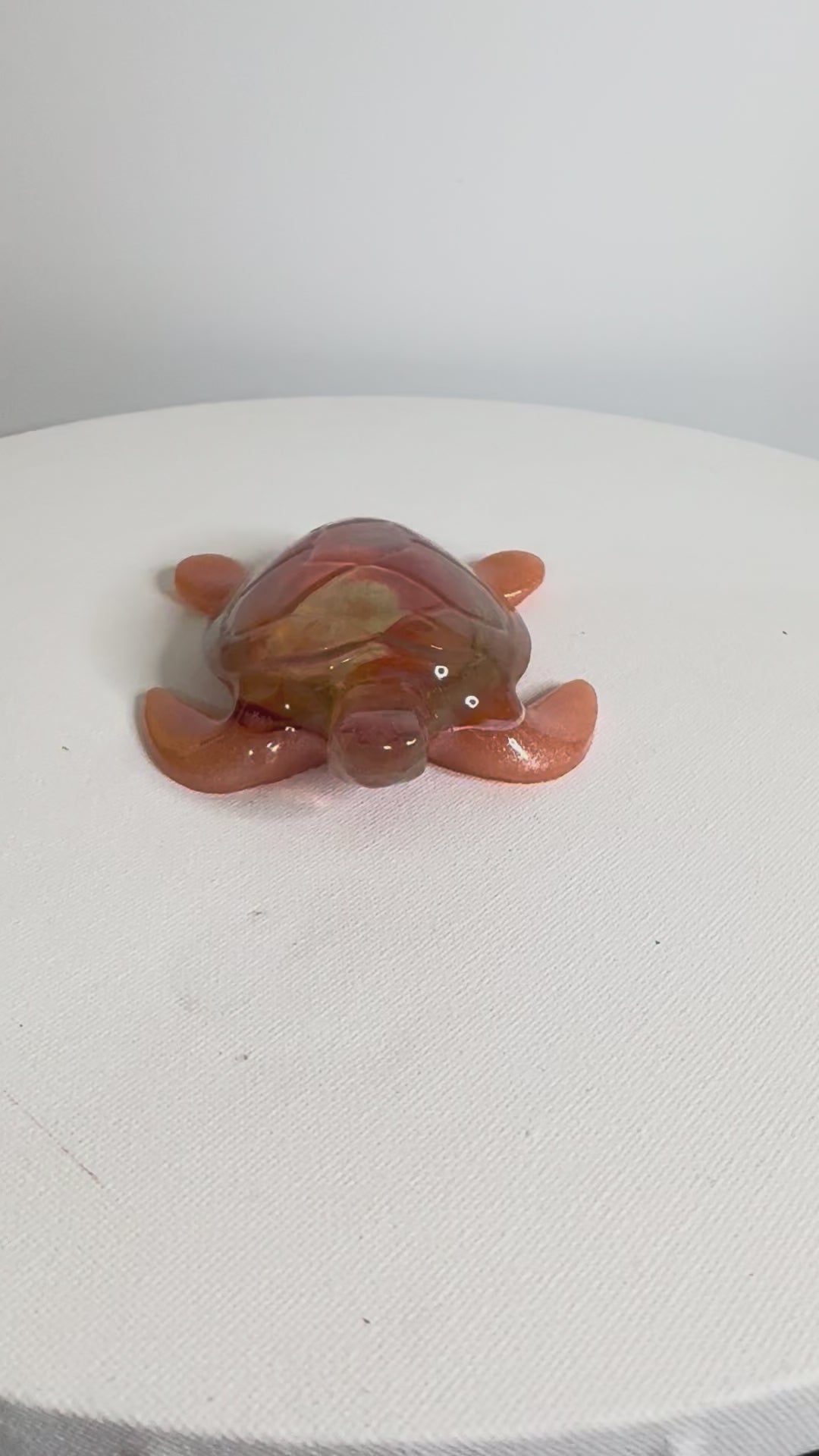 Sunset Ember - Turtle