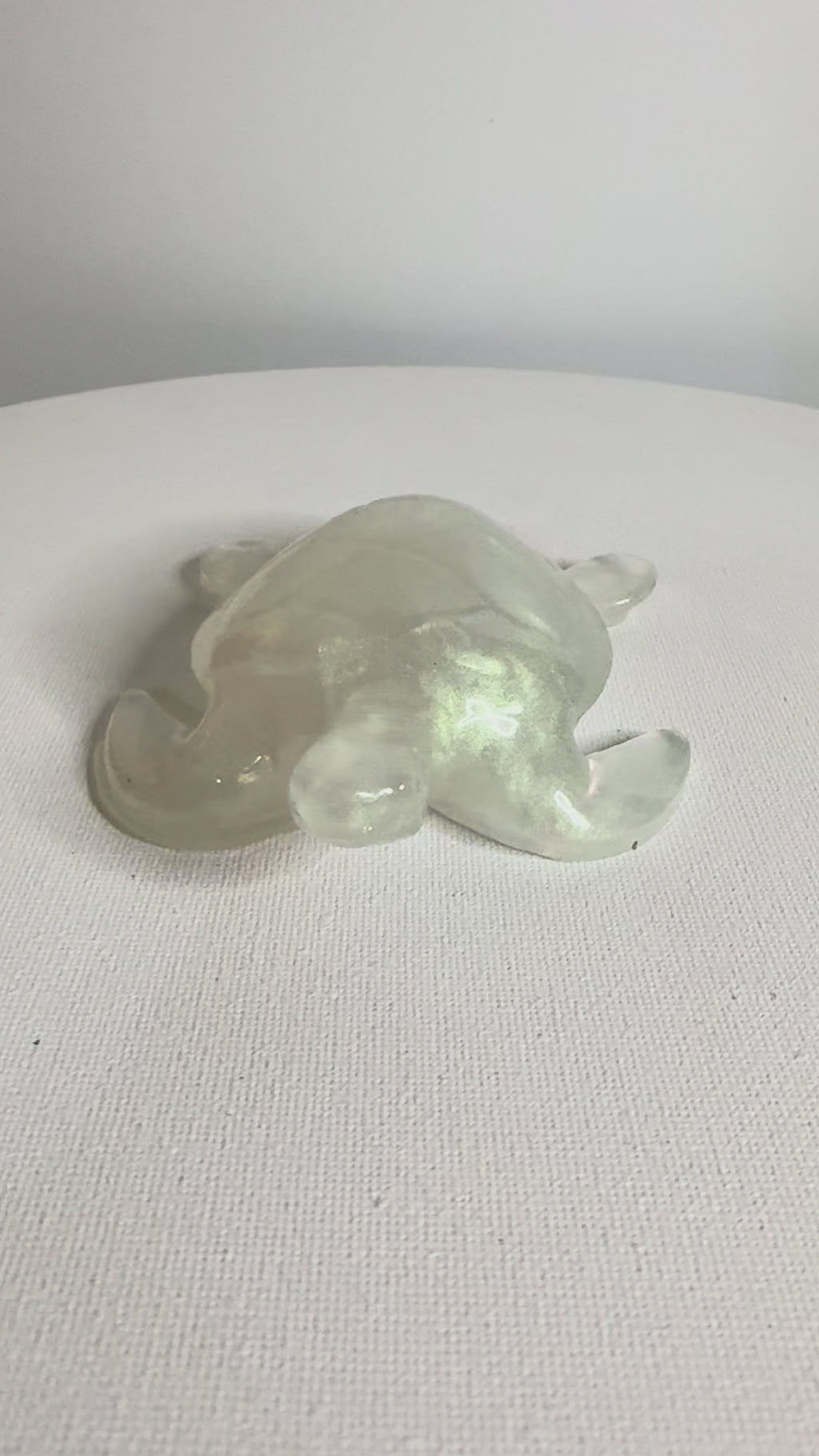 Moonlit Mist - Turtle