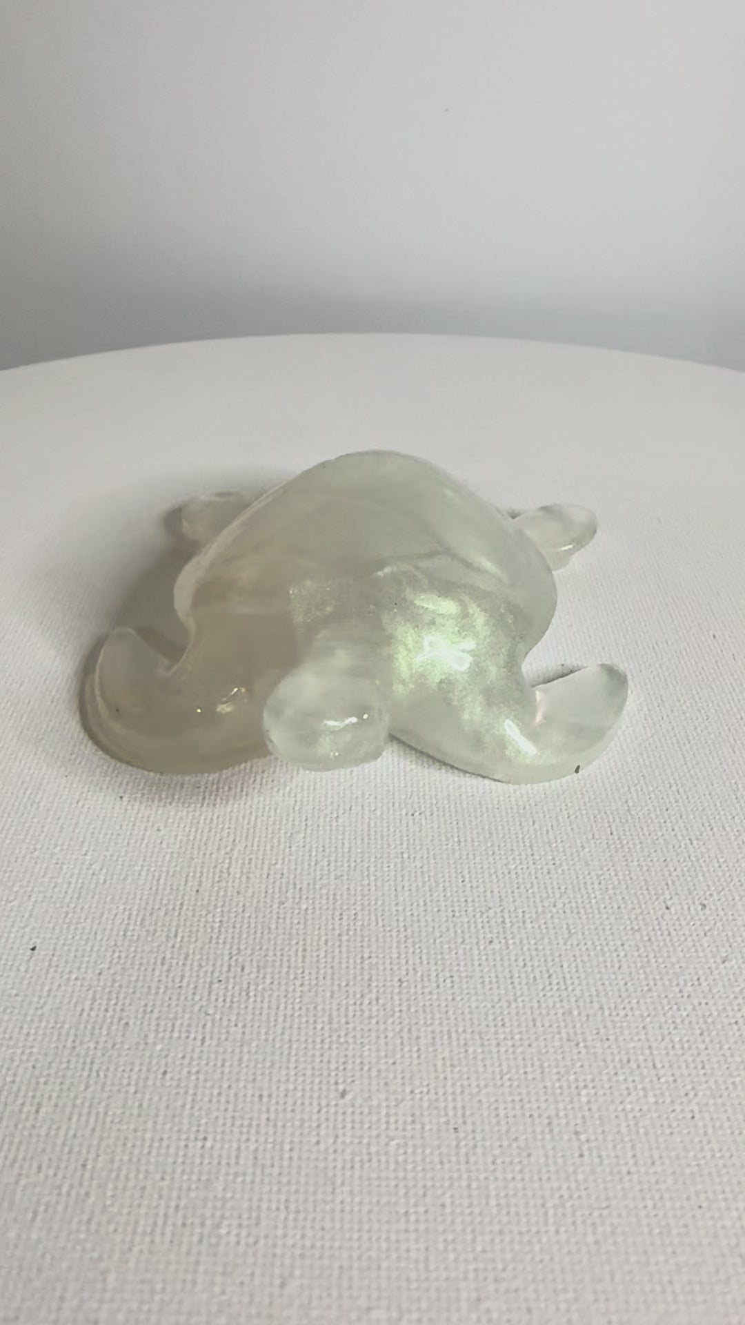 Moonlit Mist - Turtle