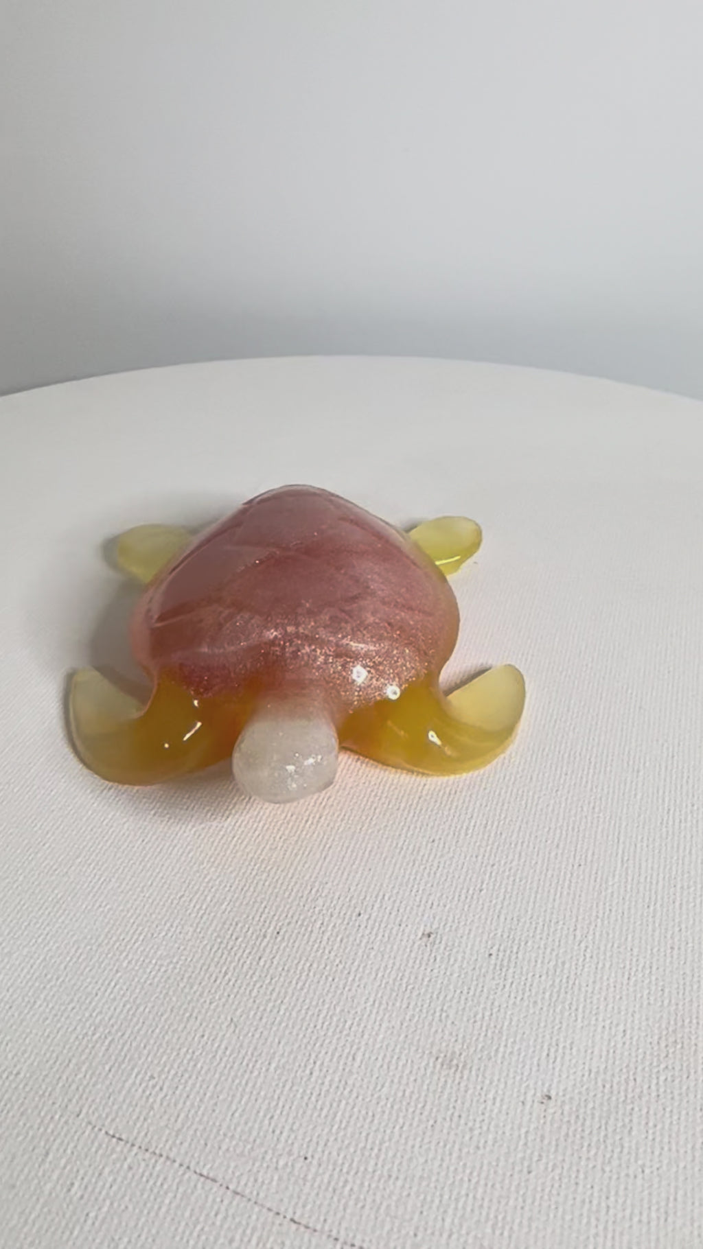 Peachy Sunset - Turtle