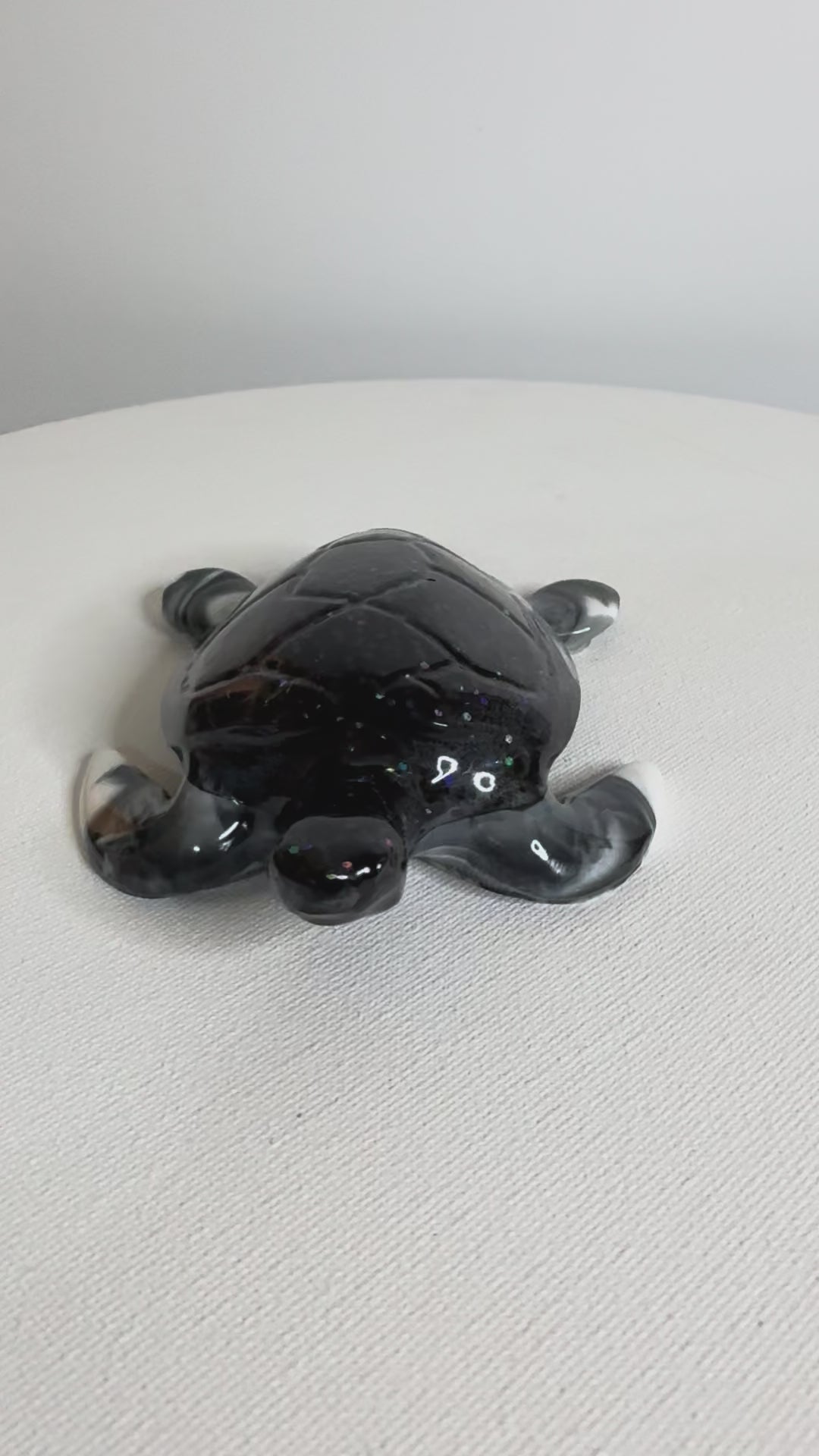 Midnight Prism - Turtle