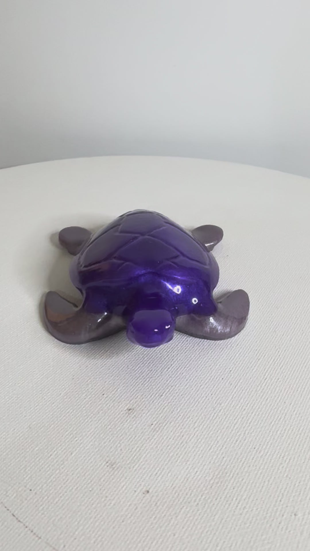 Midnight Amethyst - Turtle