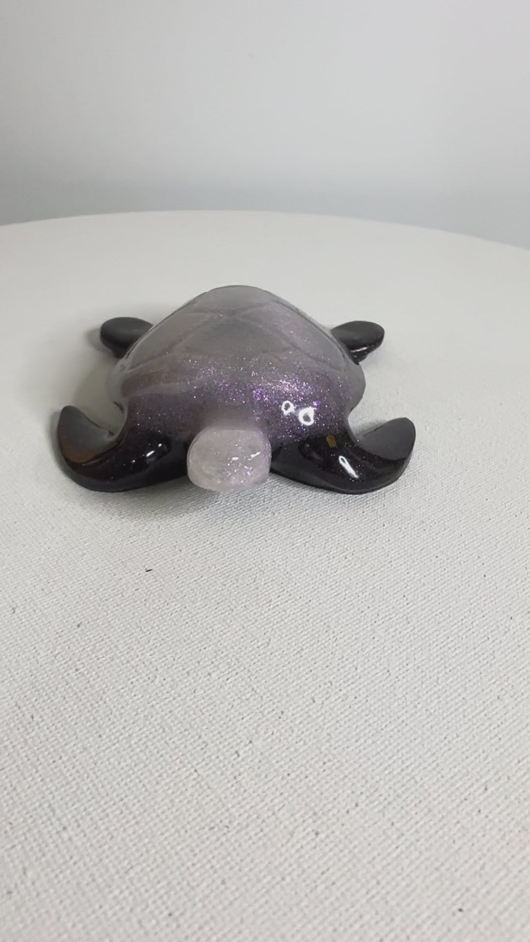Violet Shadow - Turtle